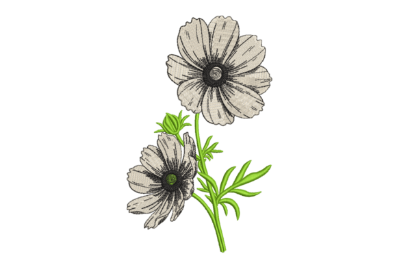 Wildflower Sketch Duo – Modern Floral Review